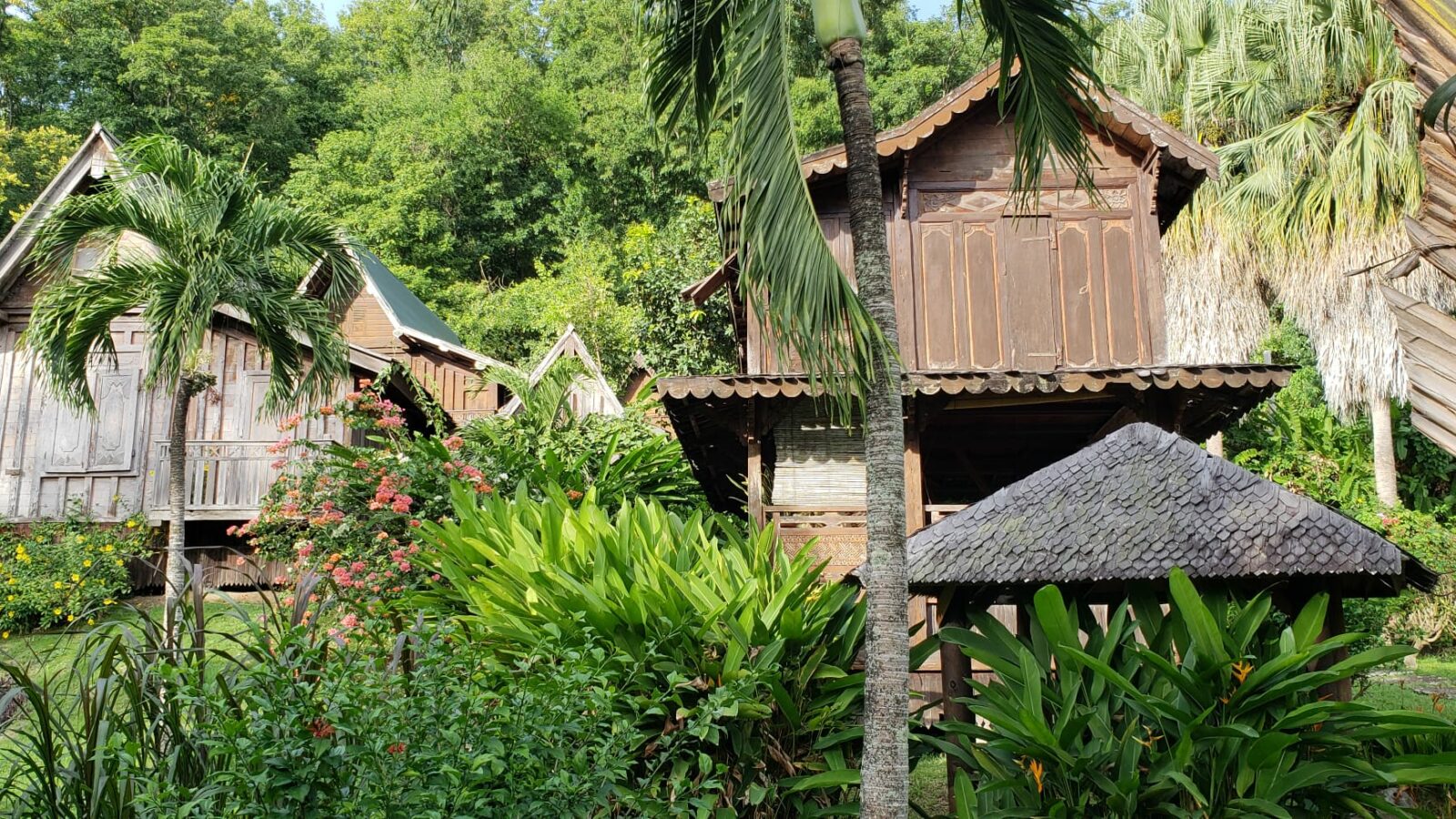 Expérience Tropicale 3