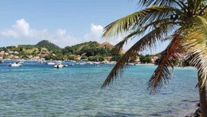 expérience_tropicale.miniature