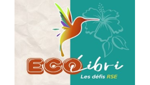 team-building-nature-rse-ecolibri-taos-event