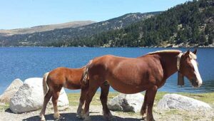 rdv-en-terre-inconnue_miniature rdv-en-terre-inconnue_miniature