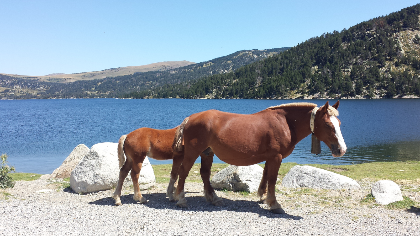 seminaire-entreprise-rdv-terre-inconnue-1-taos-event