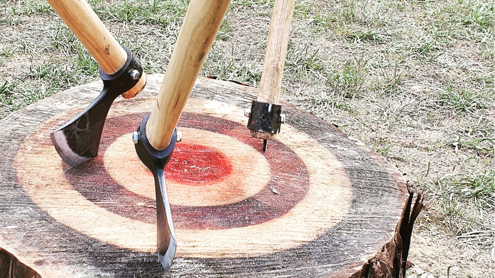 team-building-wild-games-2-taos-event